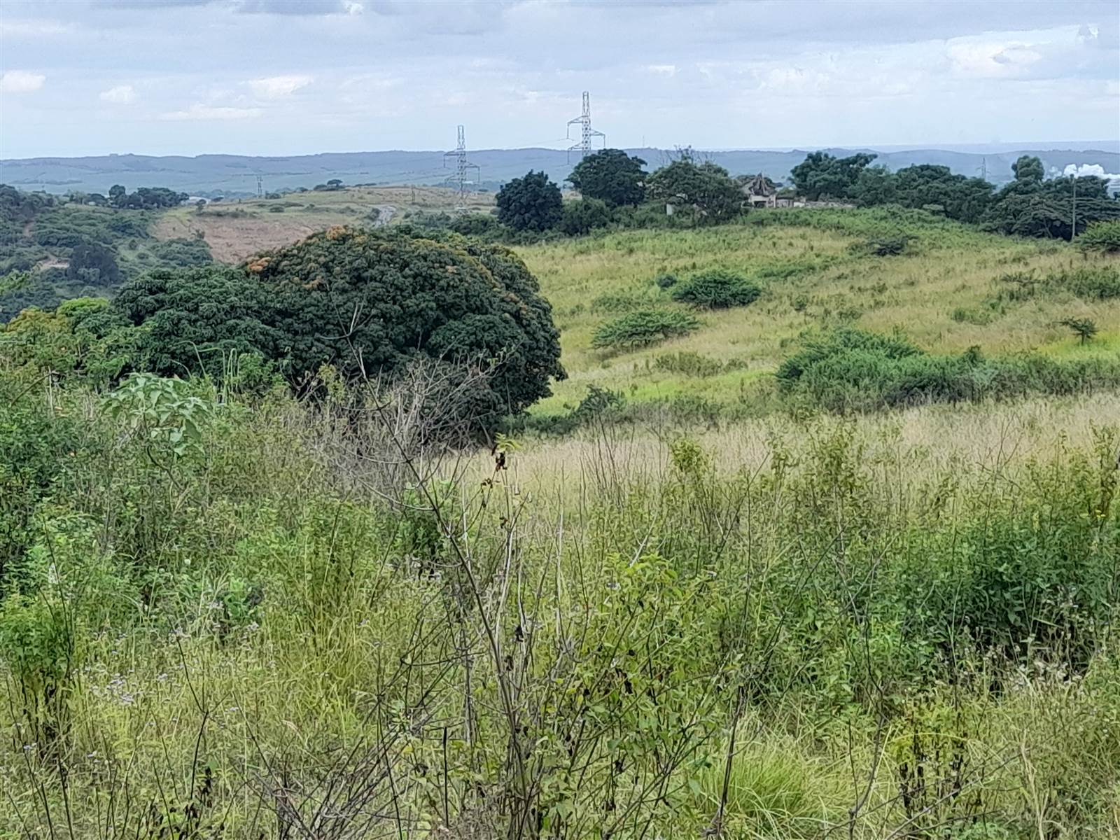 32 ha Land available in Stanger photo number 7