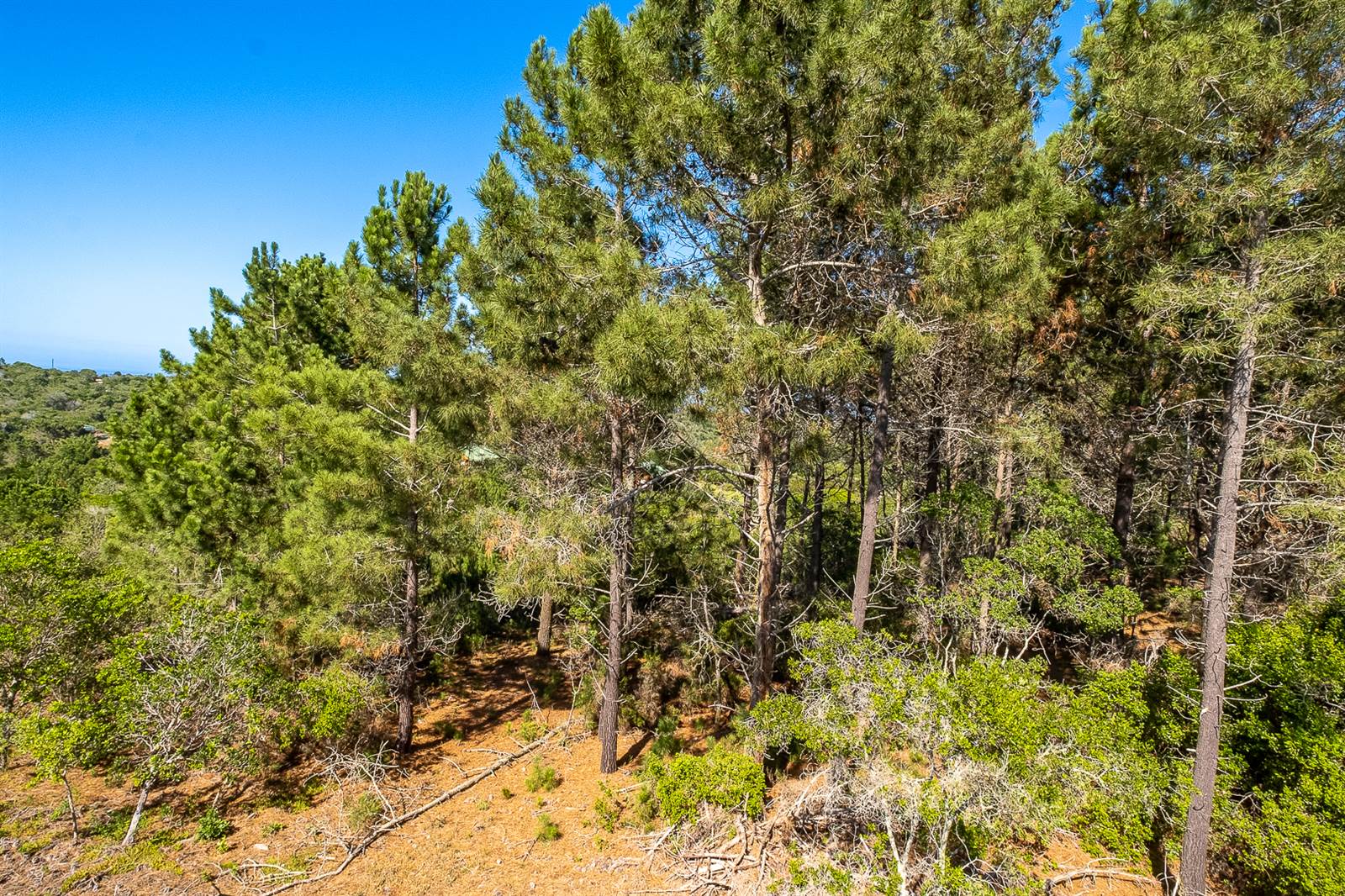 1.1 ha Land available in Wilderness photo number 9