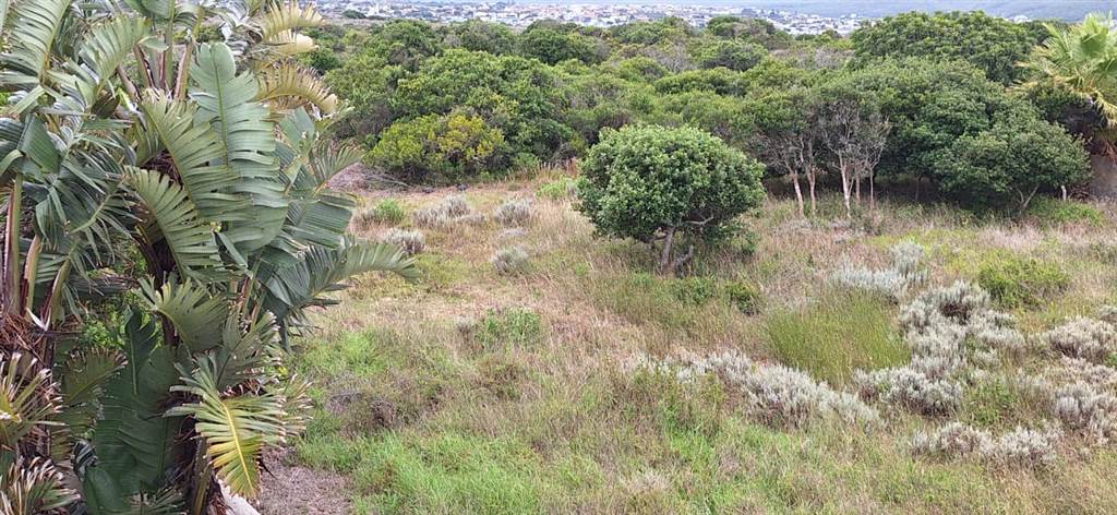 814 m² Land available in Stilbaai photo number 2