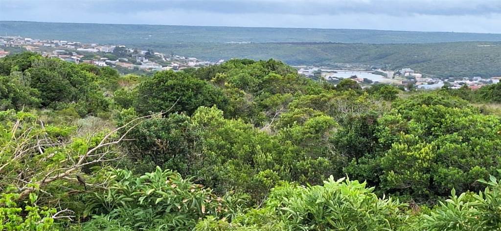 814 m² Land available in Stilbaai photo number 3
