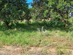 625 m² Land available in Mookgophong (Naboomspruit)