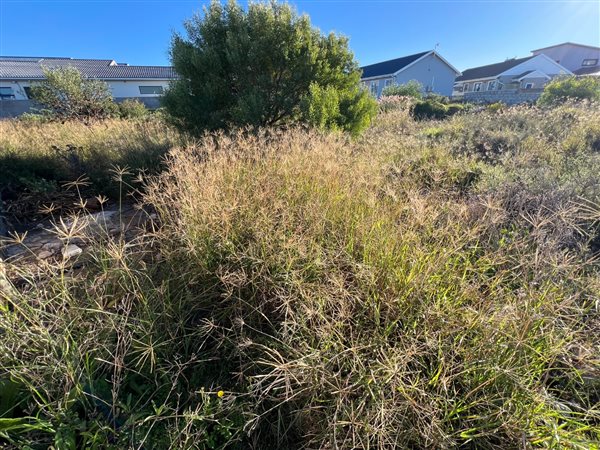 548 m² Land