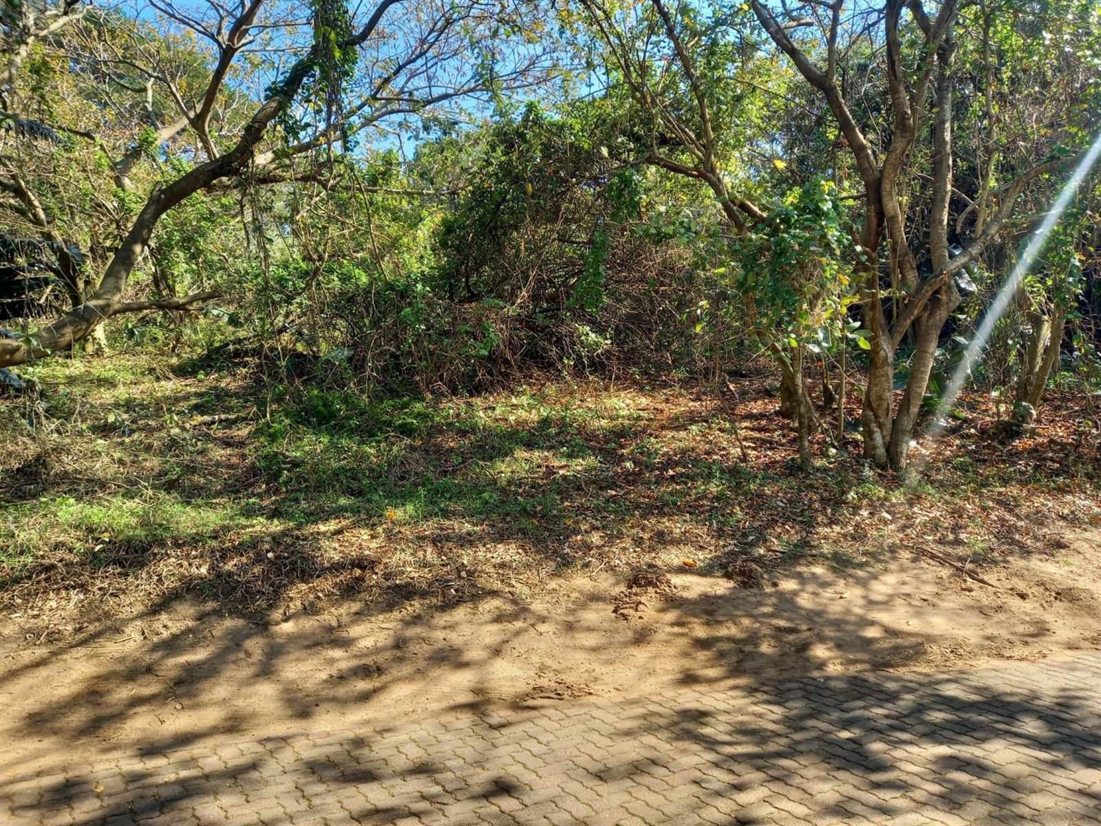 571 m² Land available in Princes Grant Golf Estate photo number 6