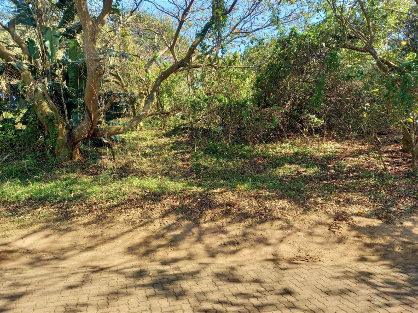 571 m² Land available in Princes Grant Golf Estate photo number 4