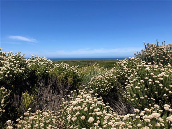 1 170 m² Land 1 170 m² Land