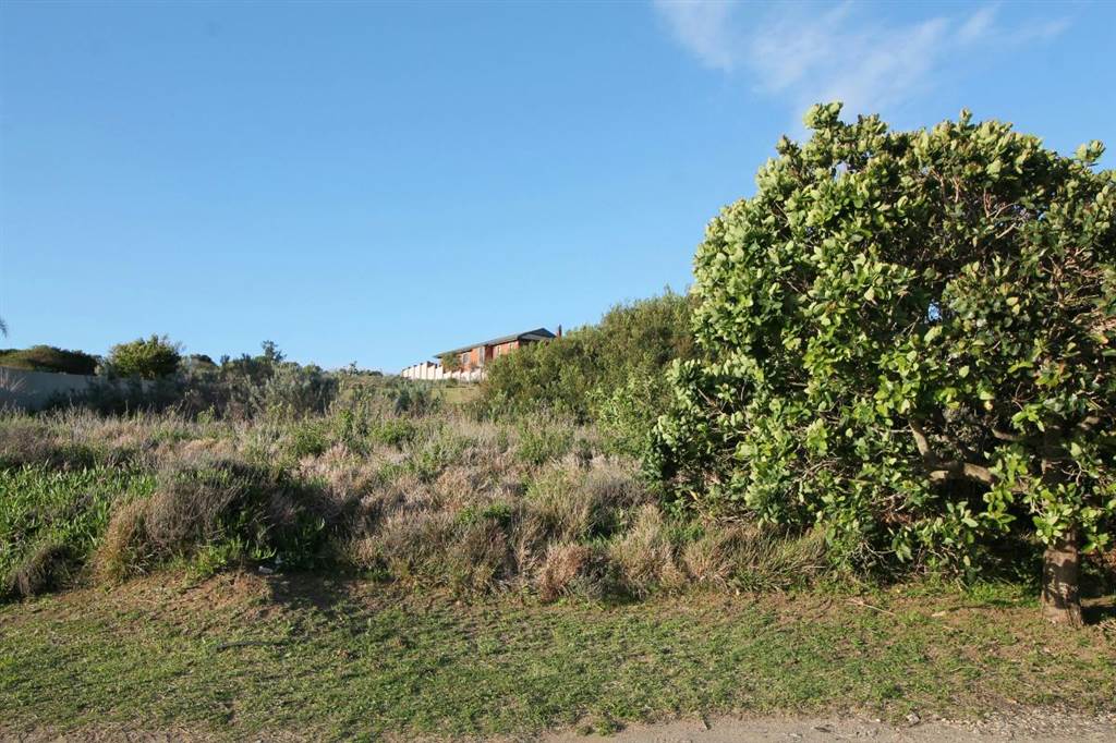 991 m² Land available in Port Alfred photo number 11