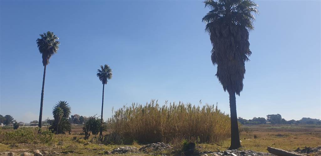12.3 ha Land available in Putfontein photo number 4