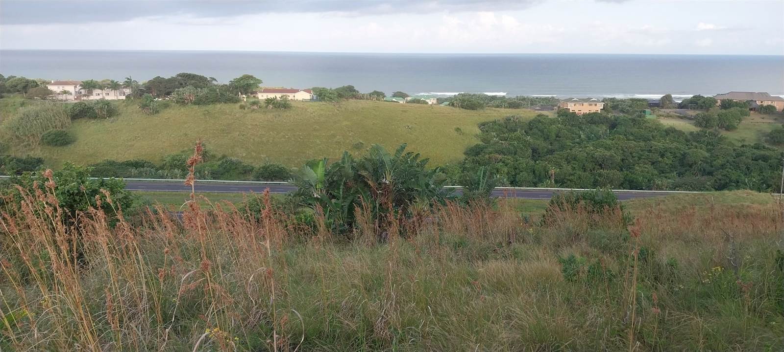 3441 m² Land available in Elysium photo number 8