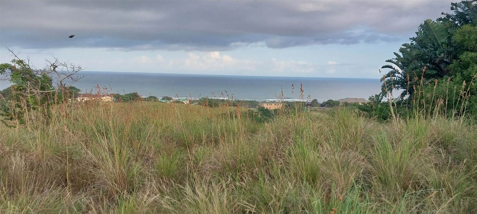 3441 m² Land available in Elysium photo number 10