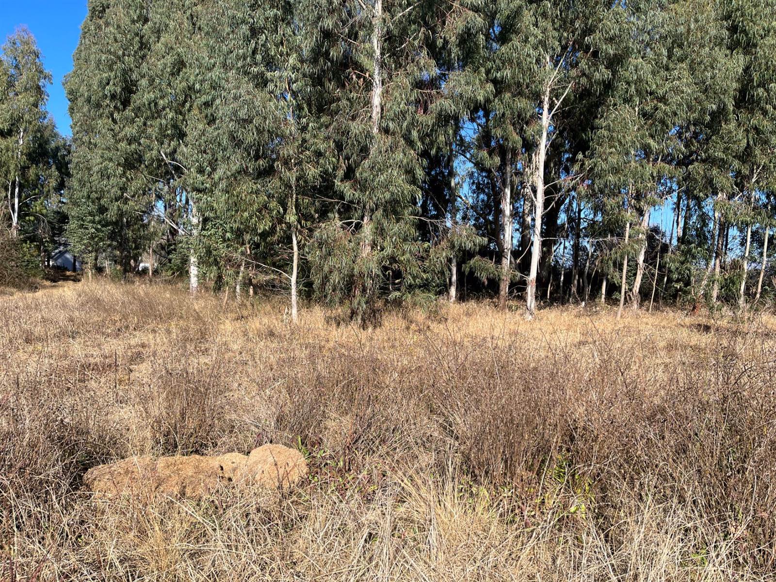 2031 m² Land available in Underberg photo number 11