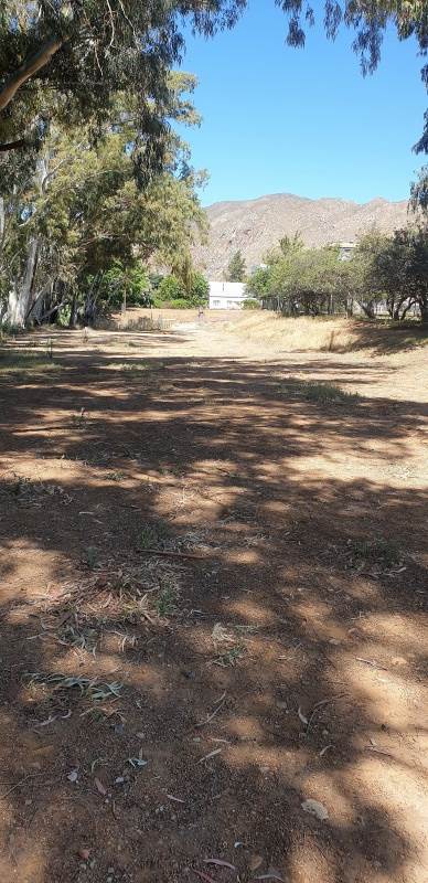 18.7 ha Land available in Montagu photo number 4