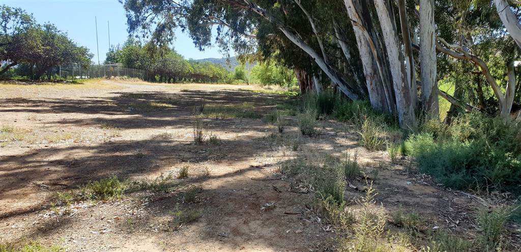 18.7 ha Land available in Montagu photo number 3