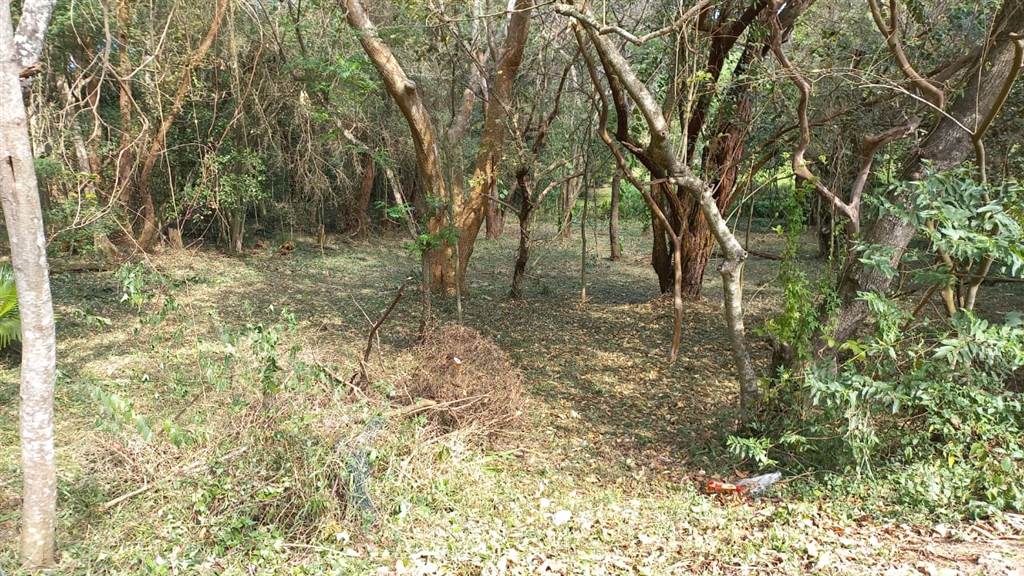3211 m² Land available in Umtentweni photo number 2