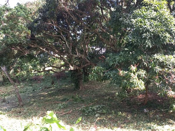 3211 m² Land available in Umtentweni