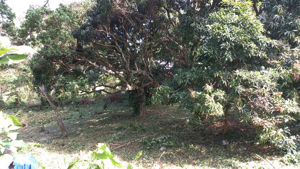 3211 m² Land available in Umtentweni photo number 1