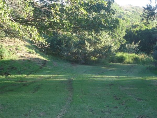 1410 m² Land available in Cove Rock