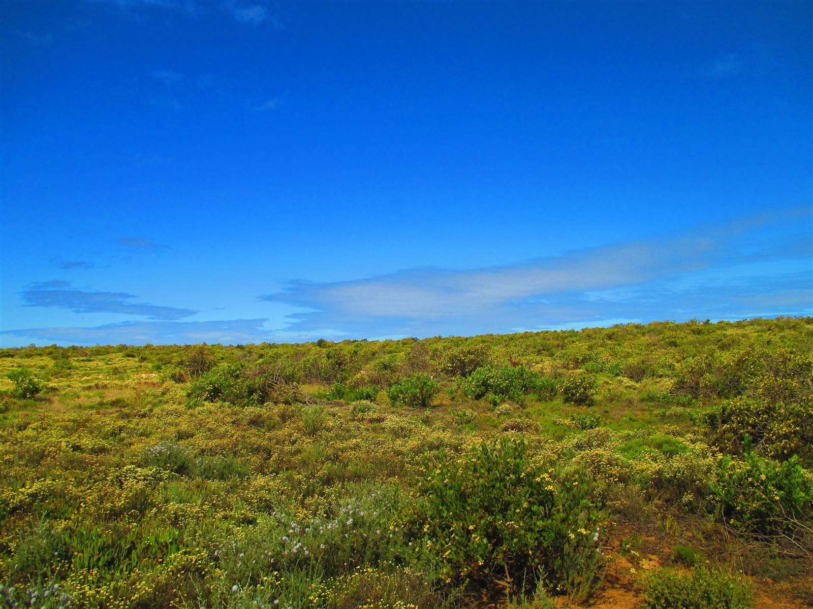 1960 m² Land available in Springerbaai Eco Estate photo number 1
