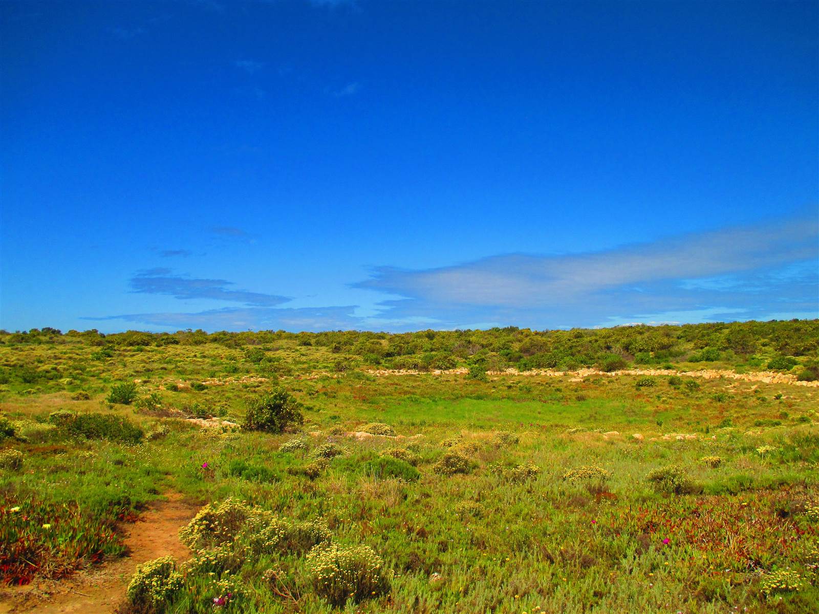 1960 m² Land available in Springerbaai Eco Estate photo number 6