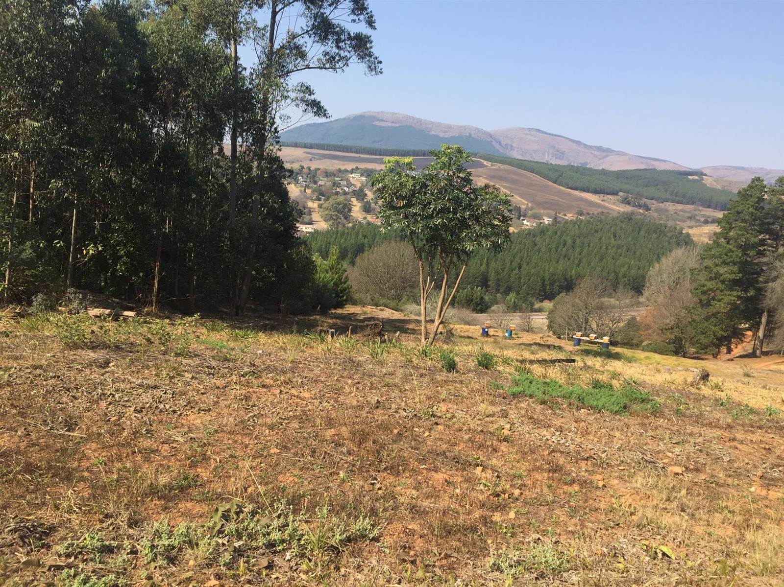 2 ha Land available in Tzaneen photo number 6