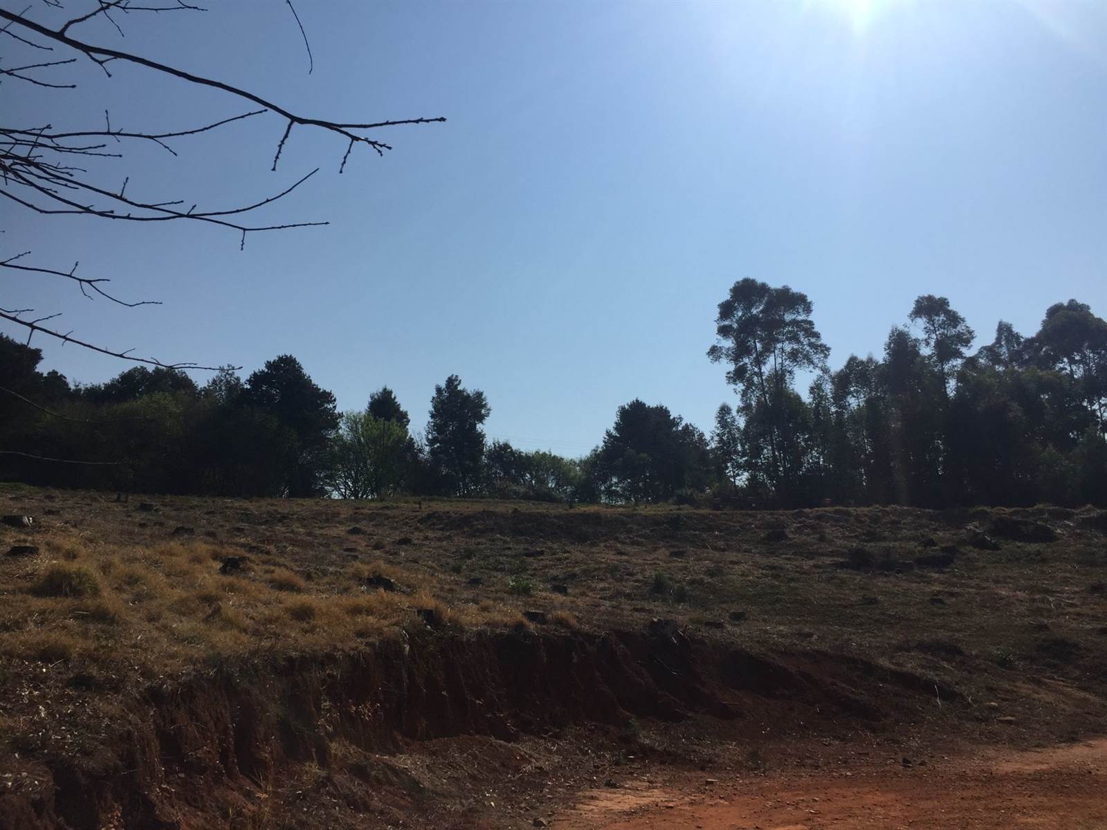2 ha Land available in Tzaneen photo number 11
