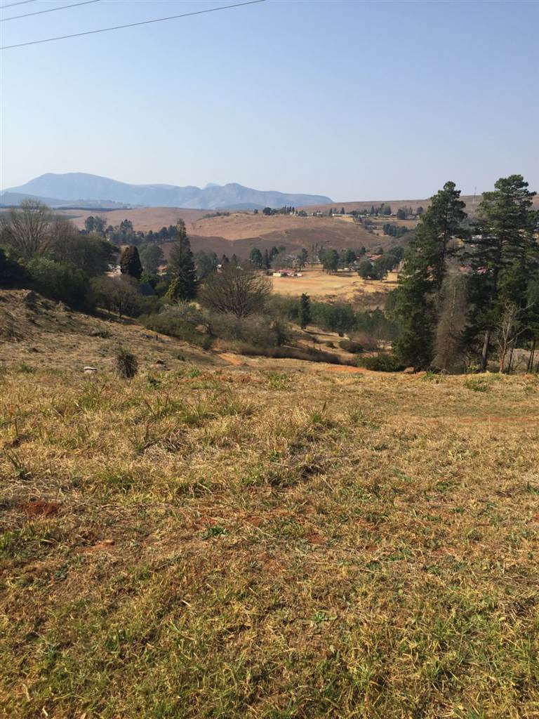 2 ha Land available in Tzaneen photo number 7