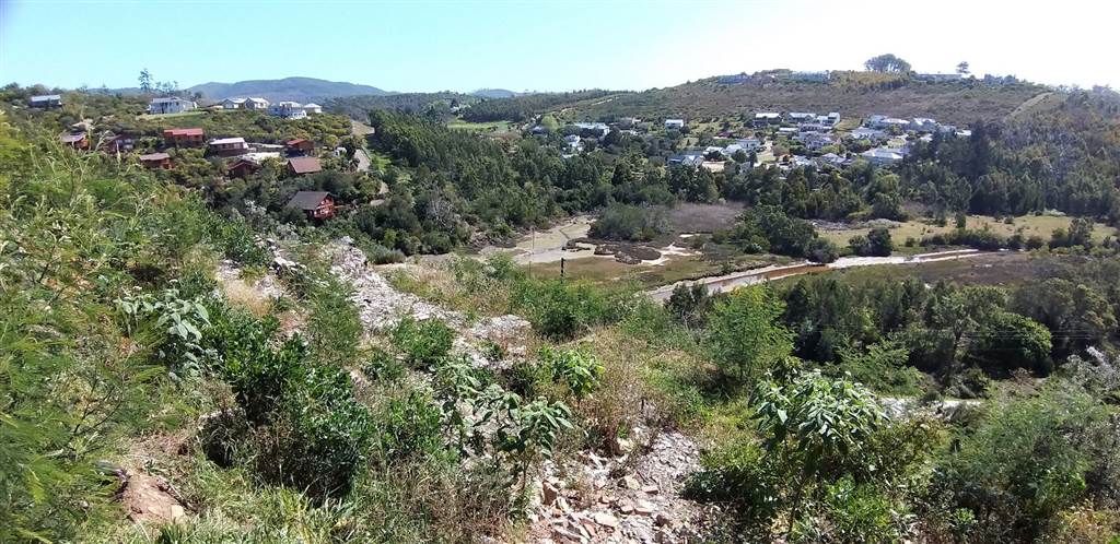 2001 m² Land available in Knysna Heights photo number 2