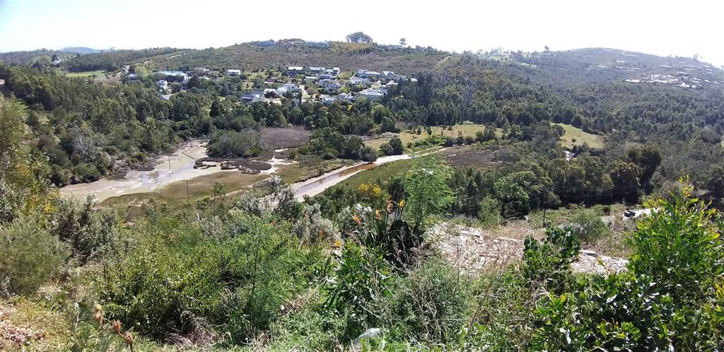 2001 m² Land available in Knysna Heights photo number 4