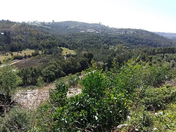 2001 m² Land available in Knysna Heights