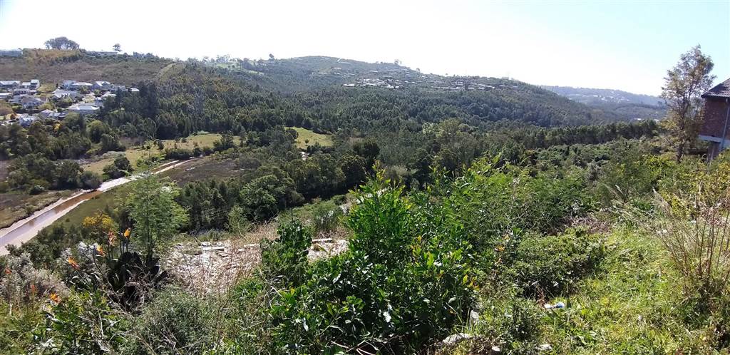 2001 m² Land available in Knysna Heights photo number 1