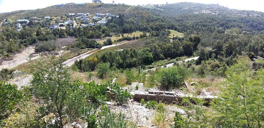 2001 m² Land available in Knysna Heights photo number 5