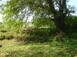 900 m² Land available in Sandfield