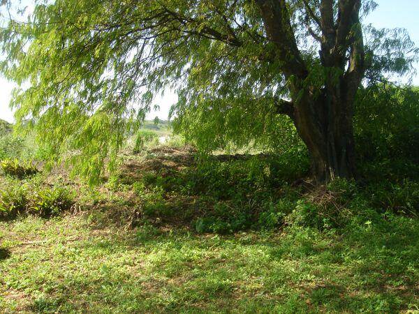 900 m² Land available in Sandfield photo number 1
