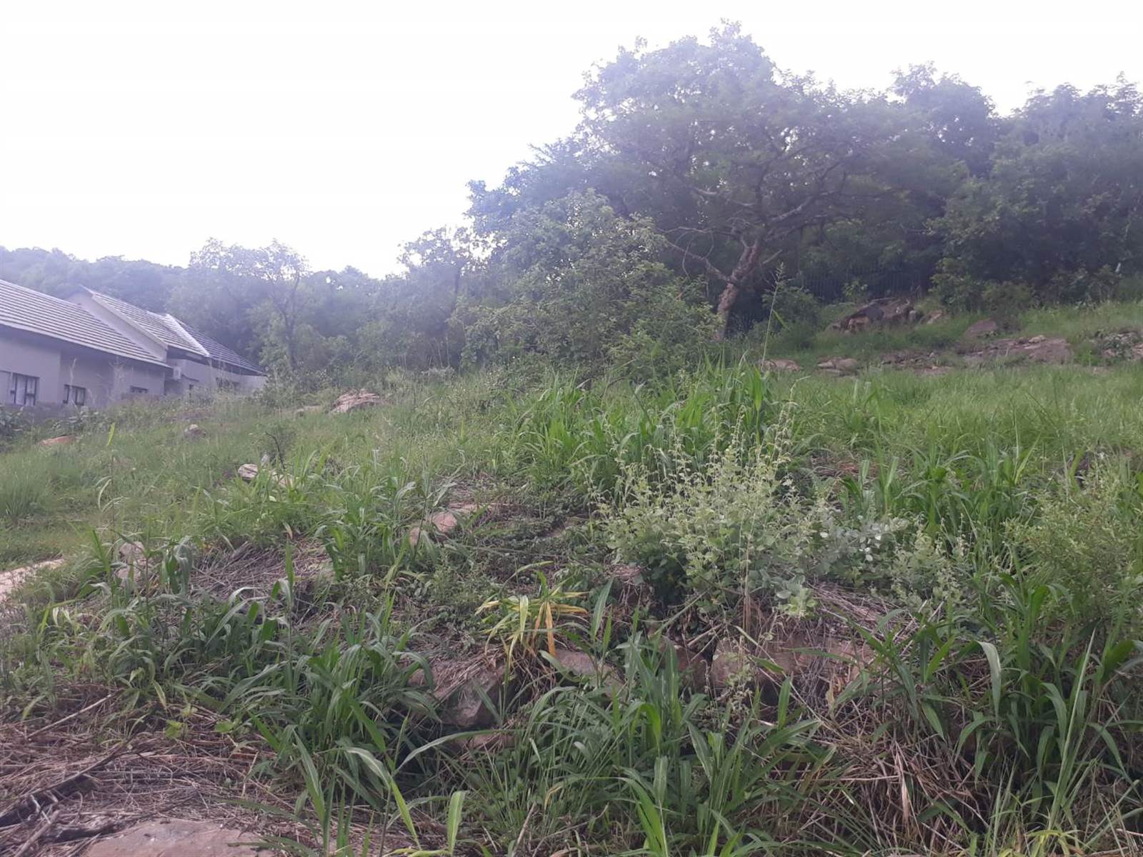 2229 m² Land available in Riverside Park photo number 7