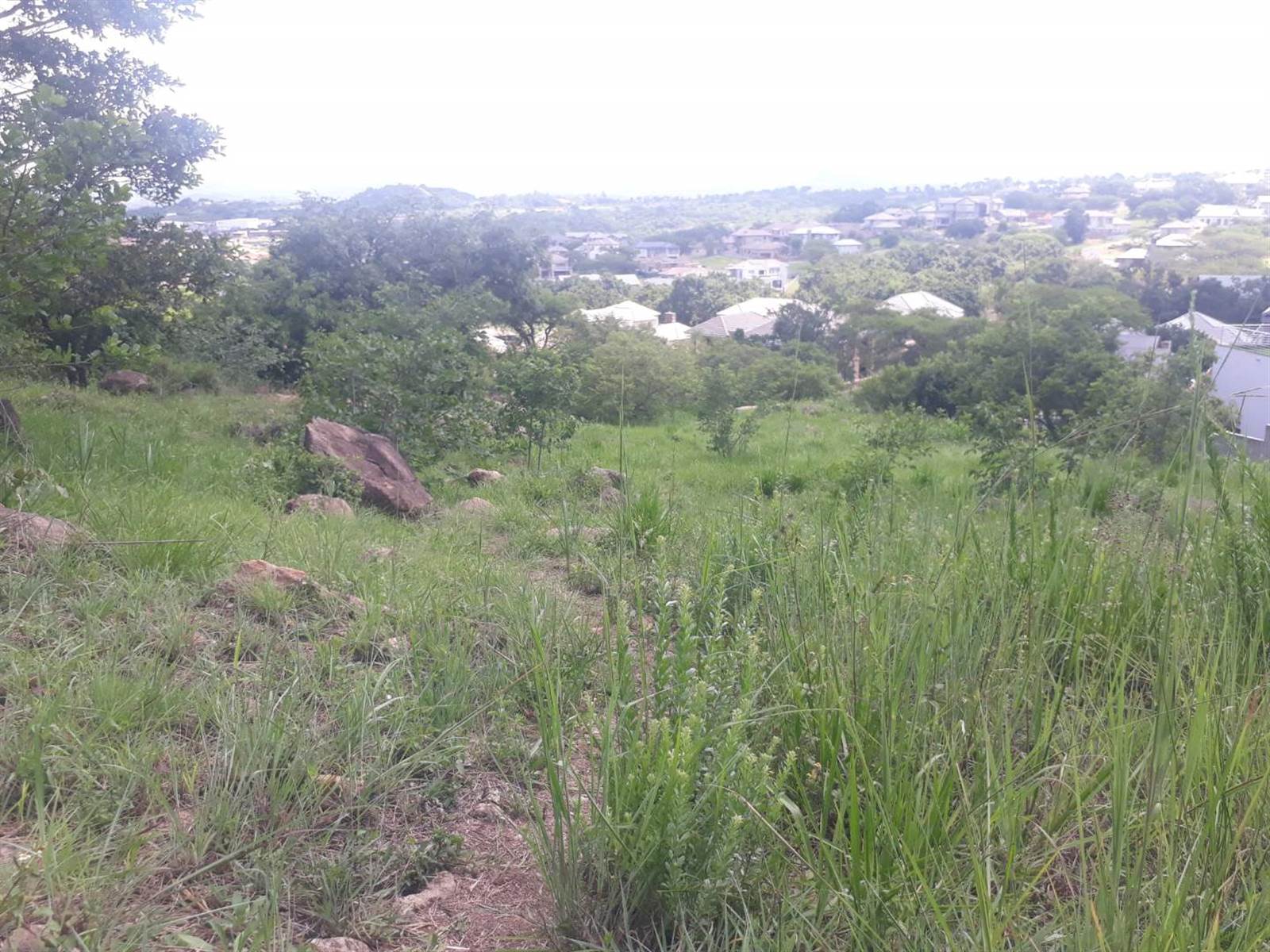 2229 m² Land available in Riverside Park photo number 4