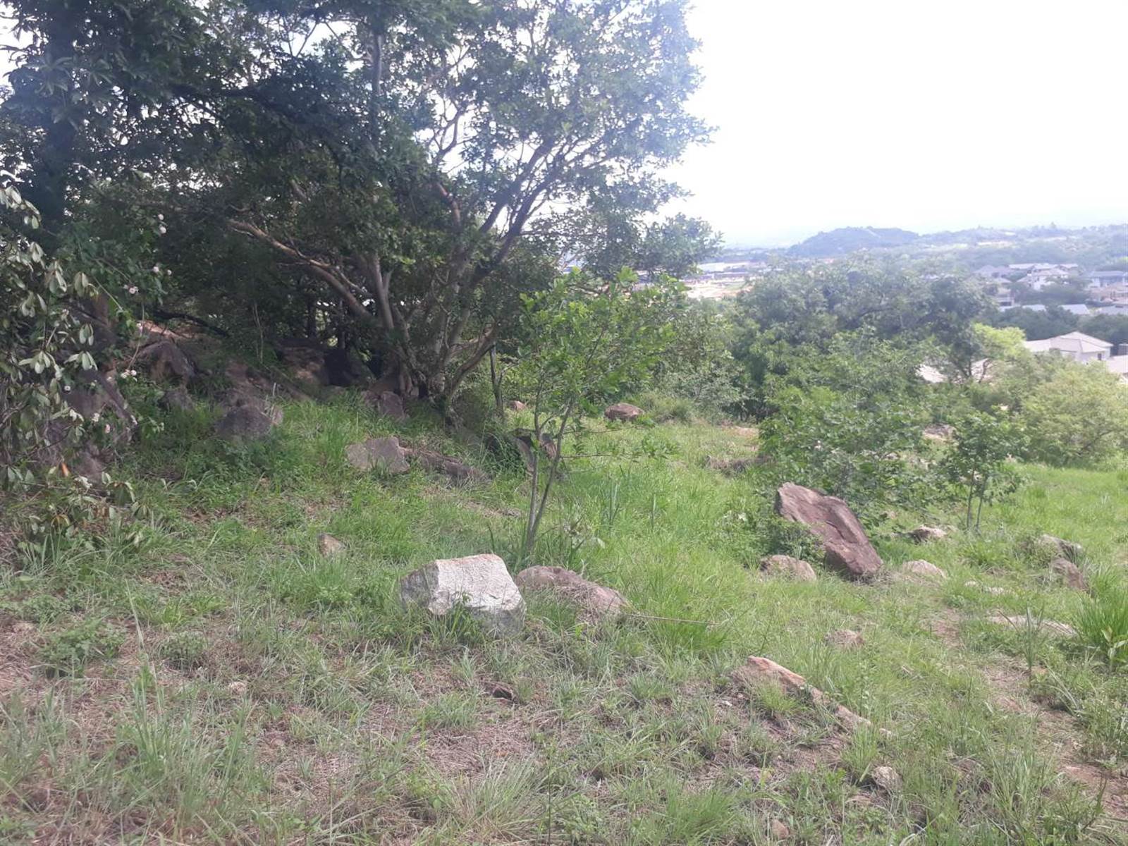 2229 m² Land available in Riverside Park photo number 3