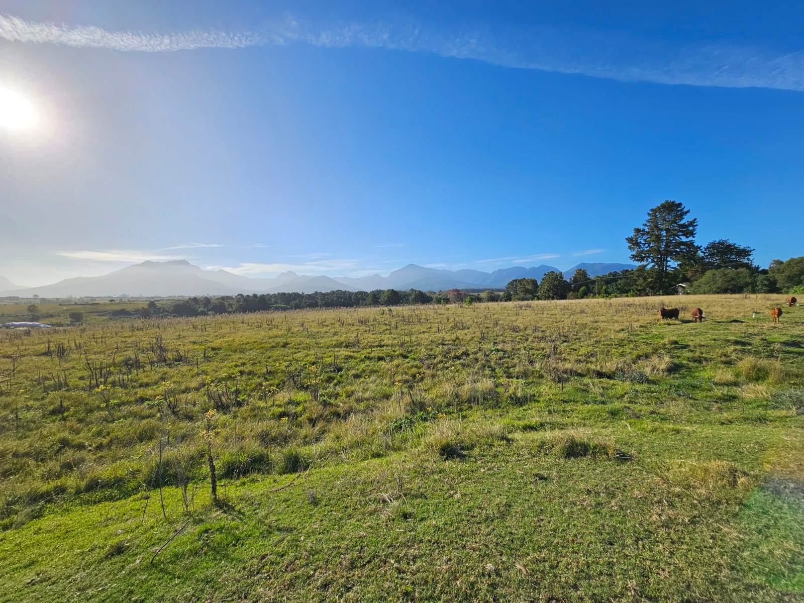 8.9 ha Land available in Victoria Heights photo number 3