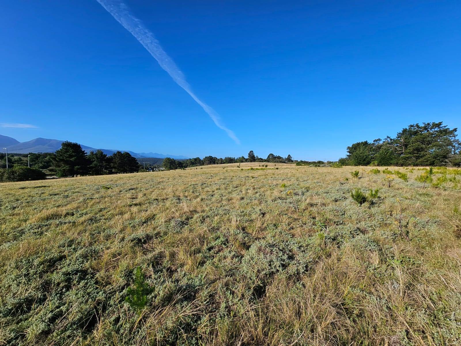 8.9 ha Land available in Victoria Heights photo number 9