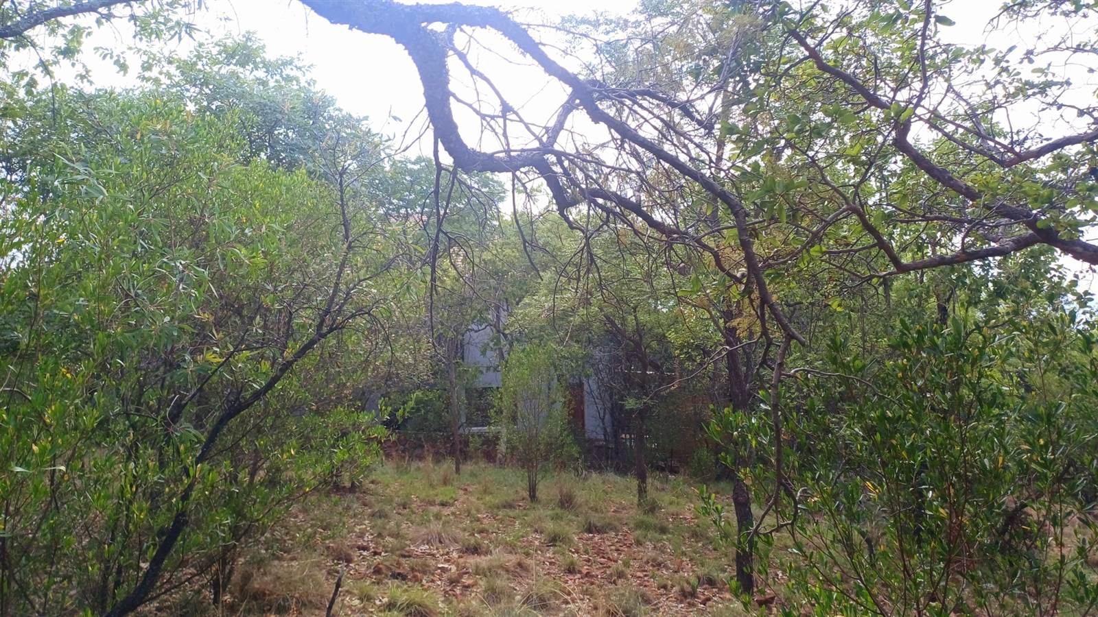 1155 m² Land available in Koro Creek Golf Estate photo number 8