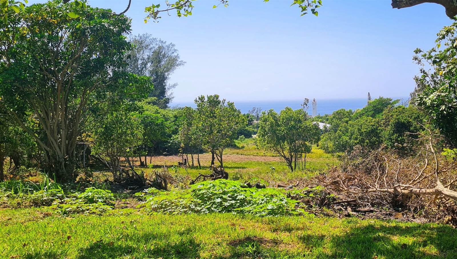 2243 m² Land available in Port Edward photo number 1