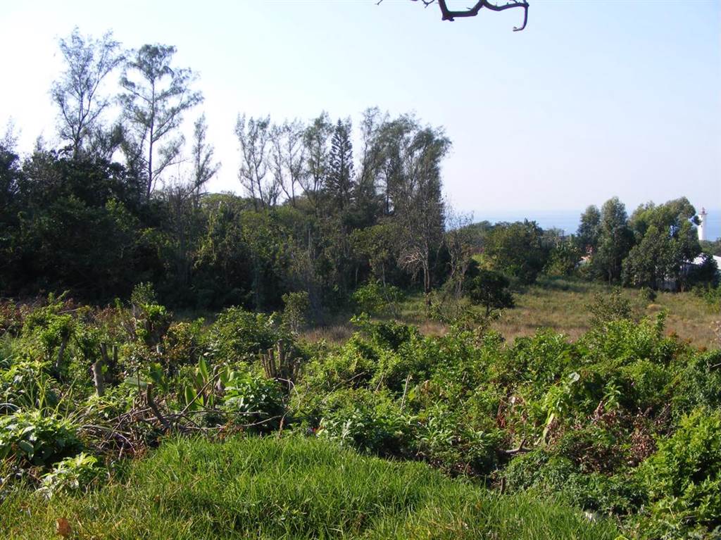 2243 m² Land available in Port Edward photo number 7