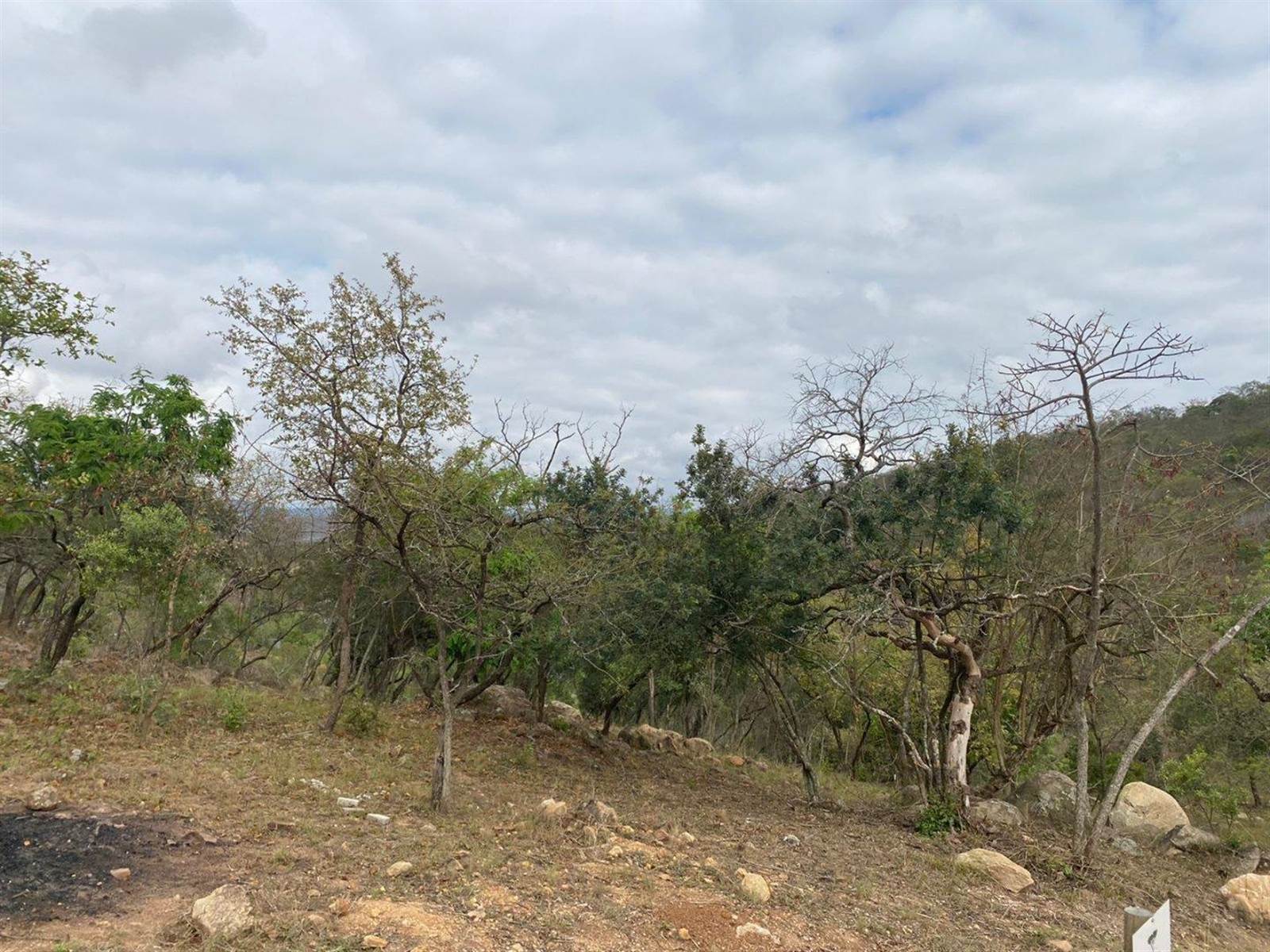 1376 m² Land available in The Rest Nature Estate photo number 2