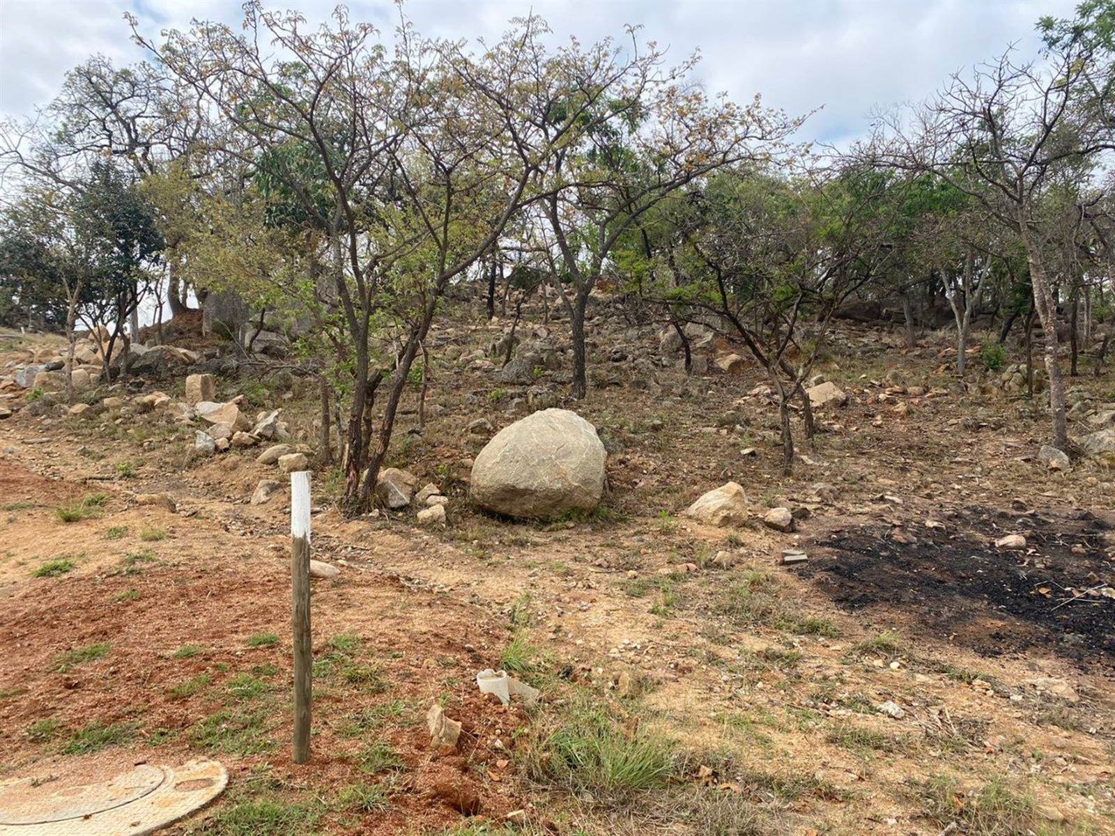 1376 m² Land available in The Rest Nature Estate photo number 7