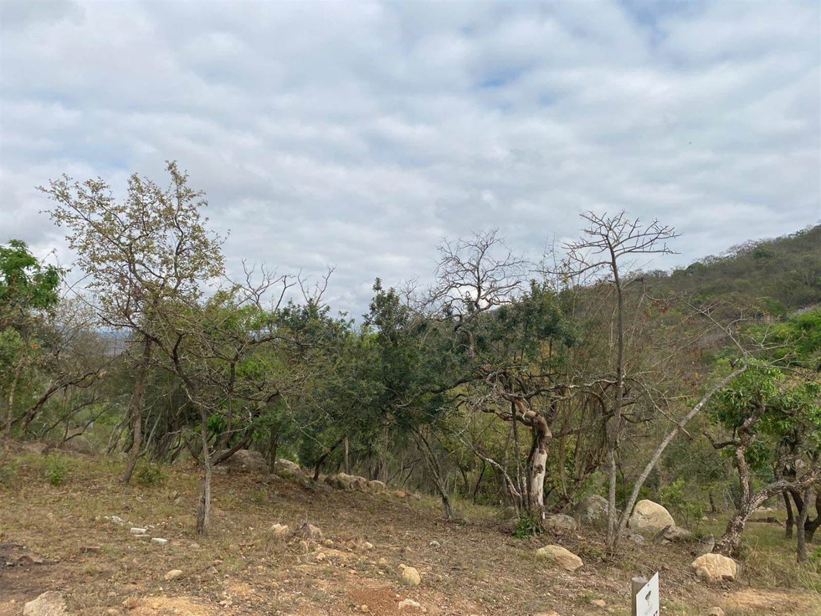 1376 m² Land available in The Rest Nature Estate photo number 5