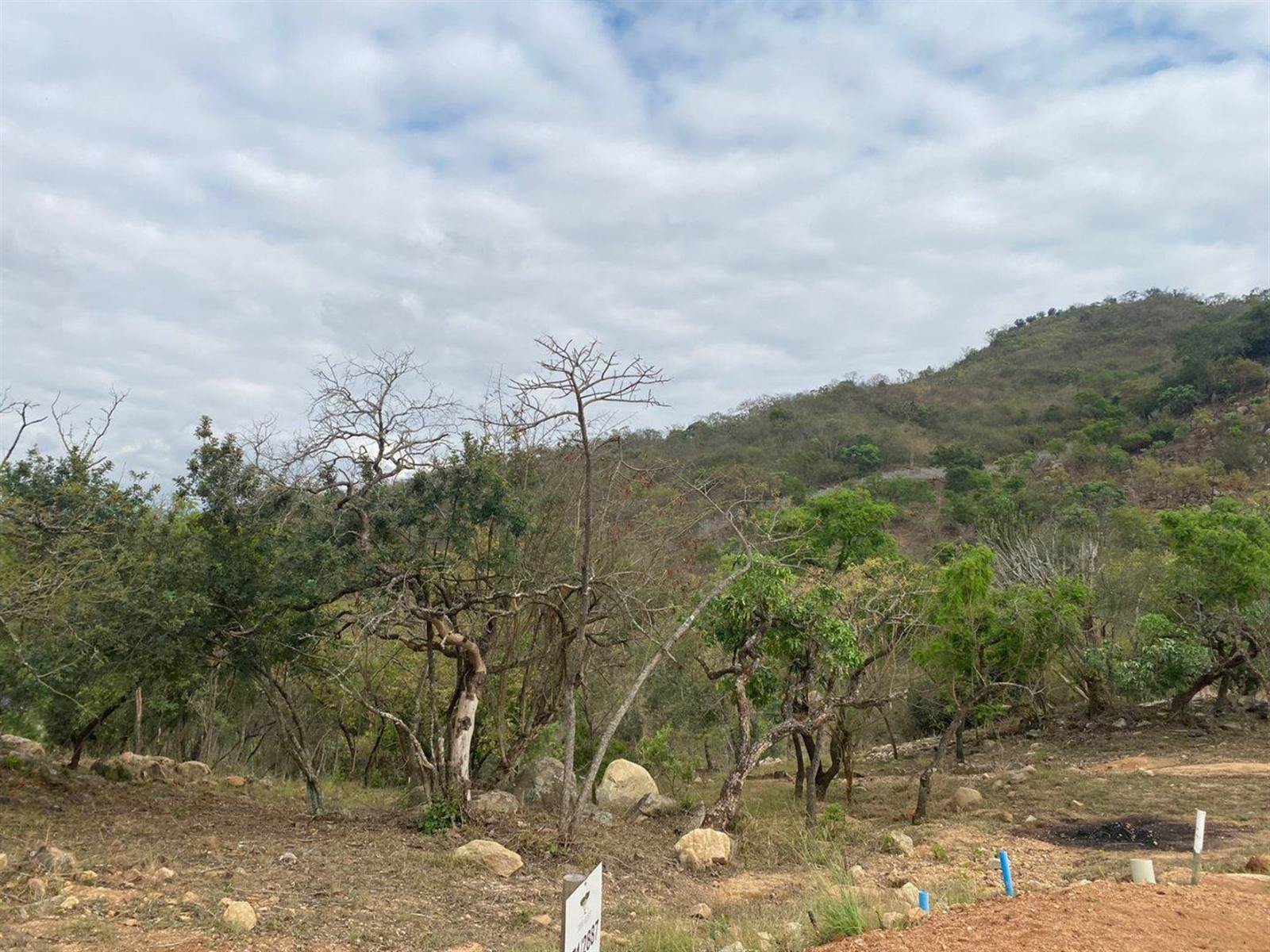 1376 m² Land available in The Rest Nature Estate photo number 8