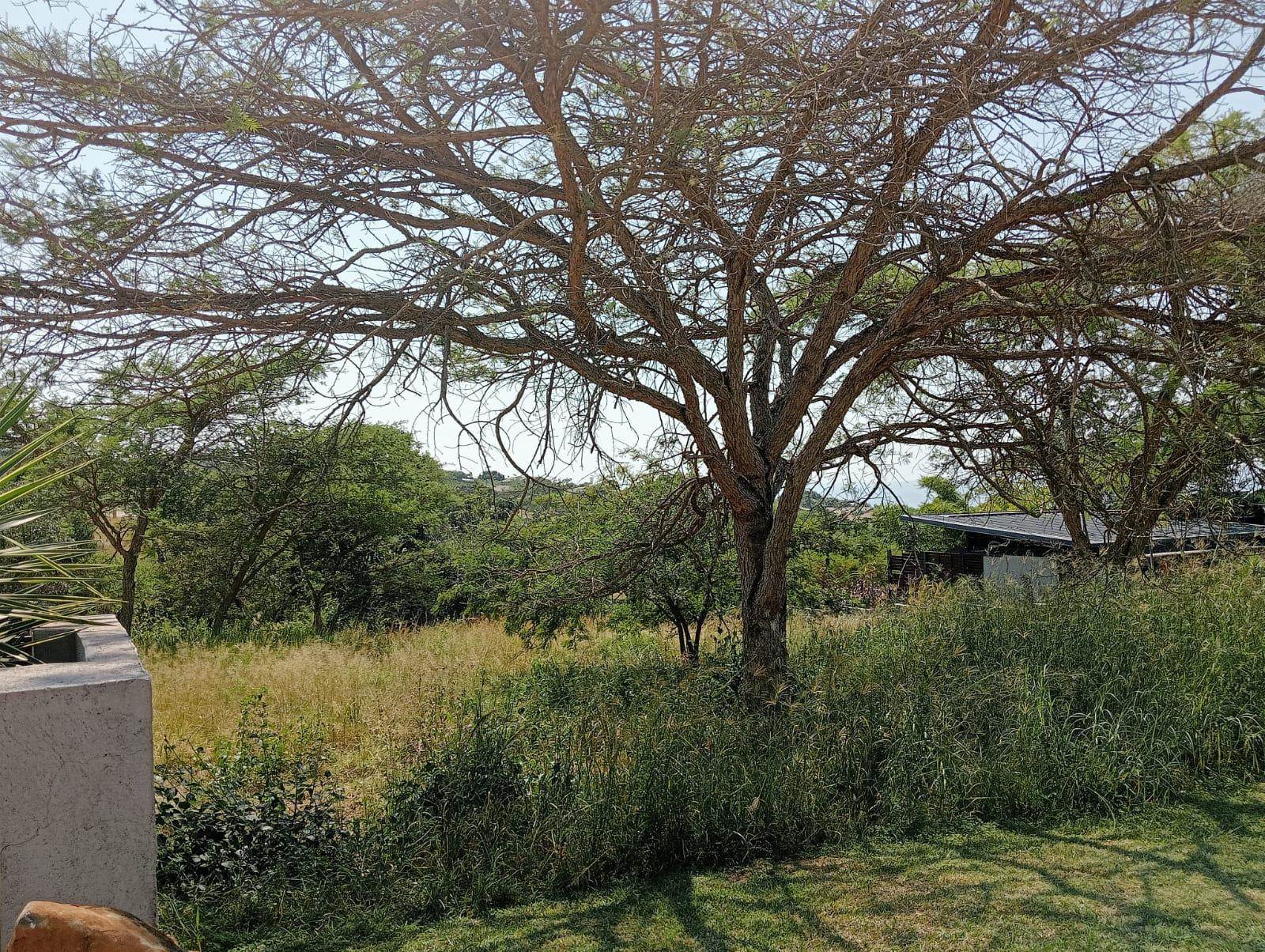 933 m² Land available in Sonheuwel photo number 2