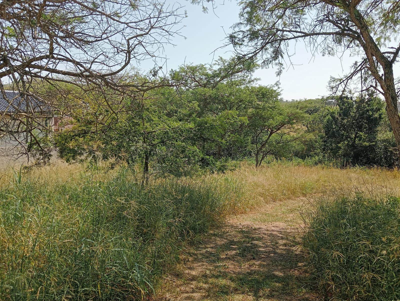 933 m² Land available in Sonheuwel photo number 6
