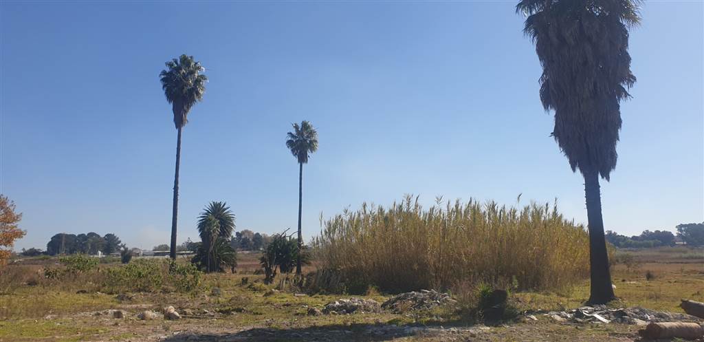 9.2 ha Land available in Putfontein photo number 4