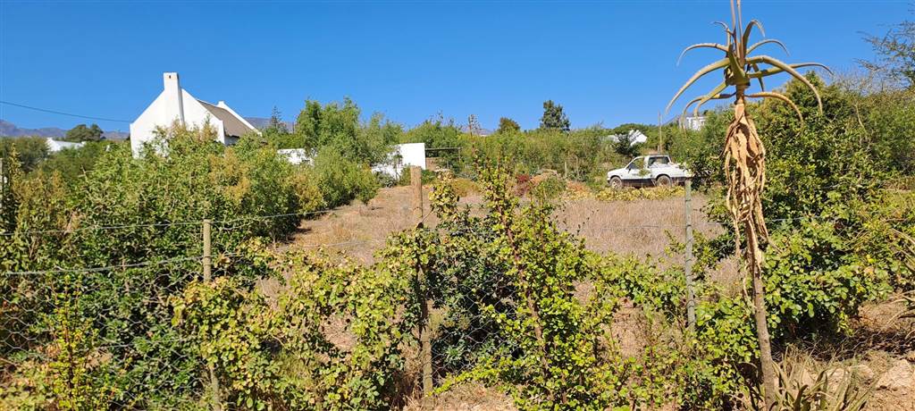 999 m² Land available in McGregor photo number 10