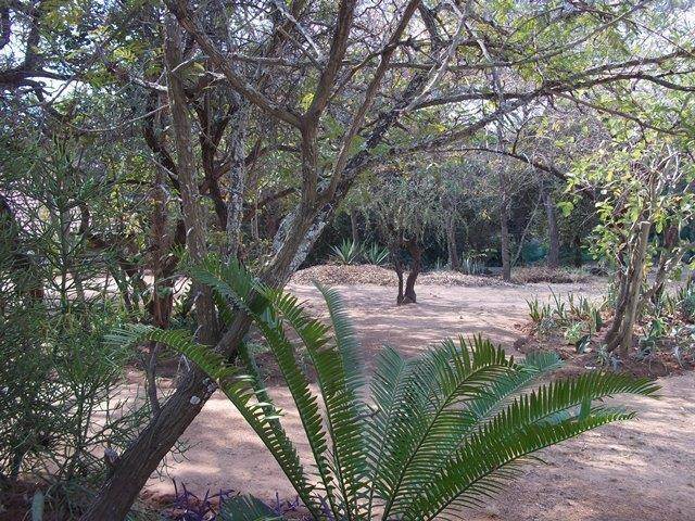 588 m² Land available in Hazyview photo number 3