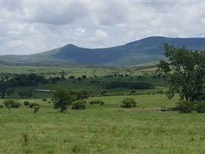 747 ha Farm in Greytown